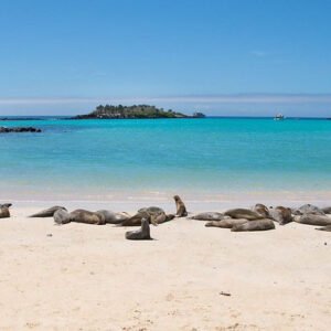 2-Tour-Santa-Fe-Galapagos-min
