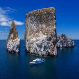 Beluga Cruise
