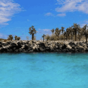 ISLA-SANTA-FE-800×361