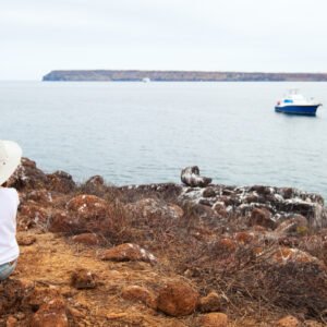 Little girl enjoying sea view