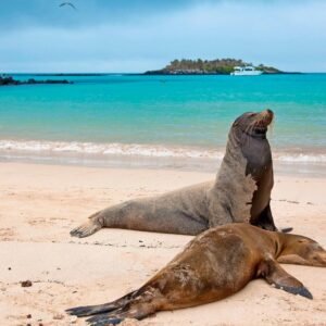 Santa-Fe-Galapagos-Full-Day-Tour