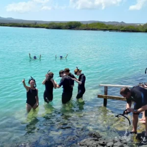 Snorkeling during a 360 San Cristobal tour