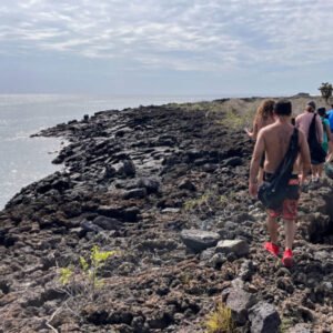 Snorkeling in Galapagos: Discover Marine Life