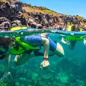 north-seymour-family-snorkeling-galapagos-summer