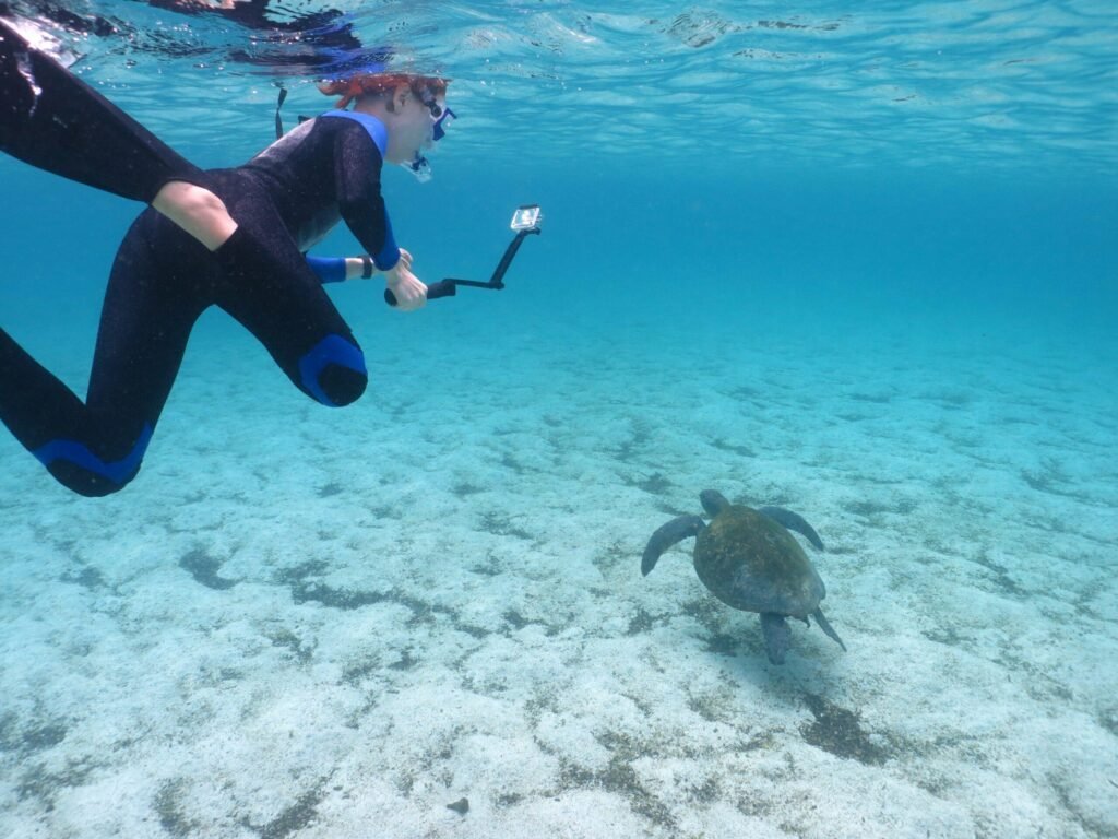 snorkeling at Santa Fe Island Galapagos crystal clear water