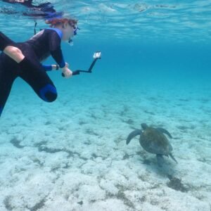 snorkeling at Santa Fe Island Galápagos crystal clear water