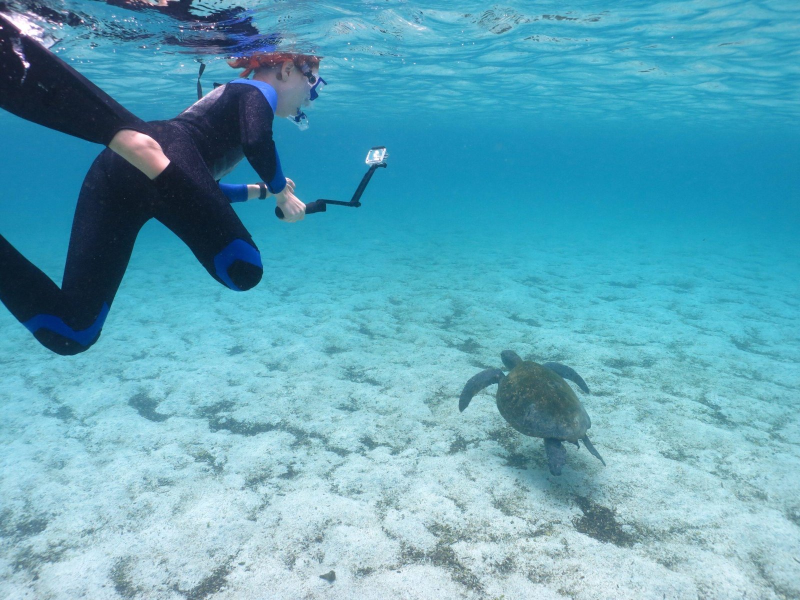 snorkeling at Santa Fe Island Galápagos crystal clear water