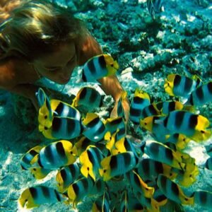 snorkel-en-santa-fe