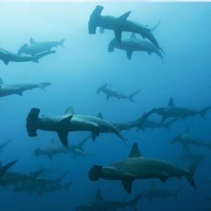 Tour 360 San Cristobal