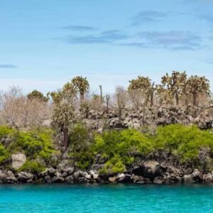 turquoise-water-santa-fe-island-672×448