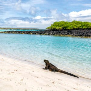 CITY BIKE TOUR & TORTUGA BAY BEACH
