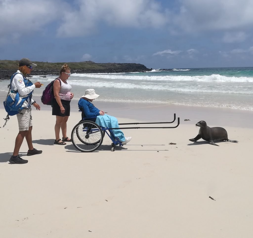 Accessible Galapagos island hopping on the beach with wildlife