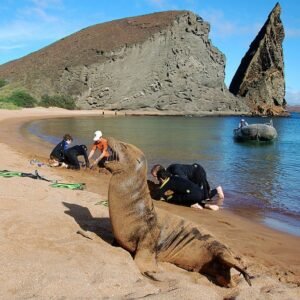 Isla San Bartolomé_5