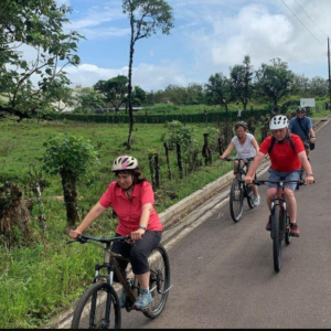 ebike2