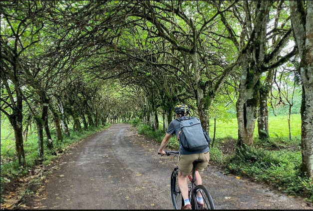 Bike and highlands Galapagos tour in Santa Cruz highlands