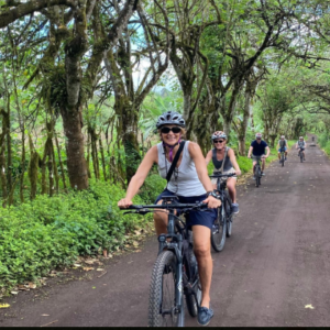 ebike7