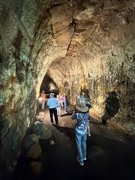 Lava tunnels in the Santa Cruz highlands Galapagos