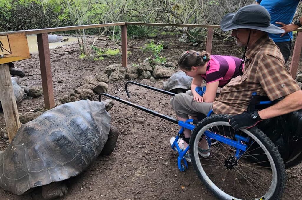 Accessible wildlife experience in Galapagos with giant tortoise