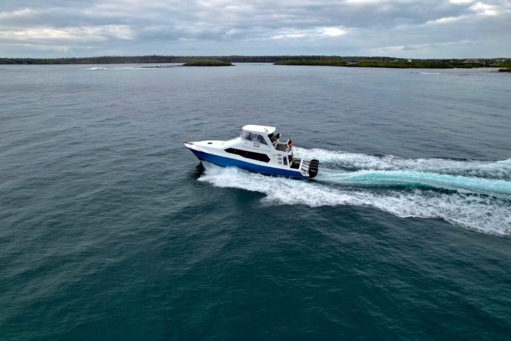 Boat experience during a Santa Cruz full day tour Galapagos