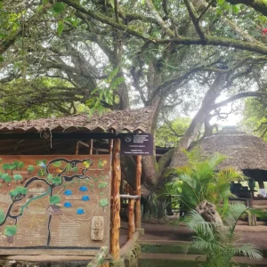 campo duro2