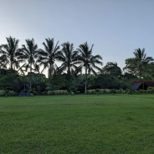 campo duro5