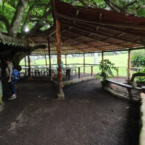 campo duro6