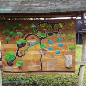 campo duro8