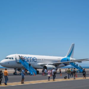 Tame airplane on platform