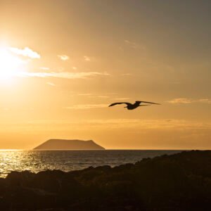 Volcanoes, Turtles & Sea: The 6 N/7 Day Adventure