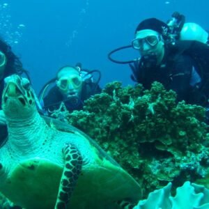 buceo-en-galápagos-precios-seymour