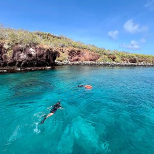 española snorkeling-en-el-islote-gardner-4