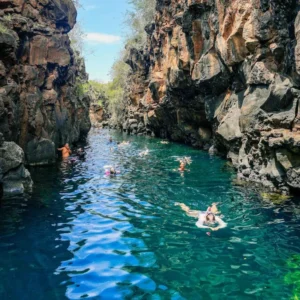 Bay Tour Santa Cruz Bay