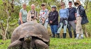 Galapagos Tours for Seniors