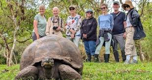 Galapagos Tours for Seniors