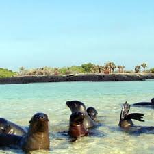 Galapagos Tour Prices Explained