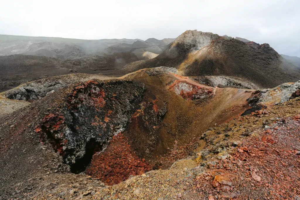 Volcanic landscape during a Sierra Negra volcano tour