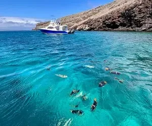 Pinzon_island_10