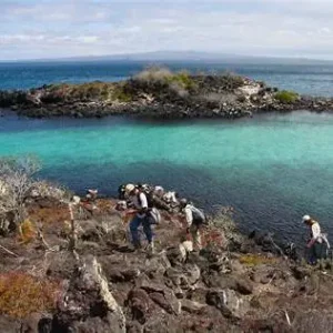 Pinzon_island_2