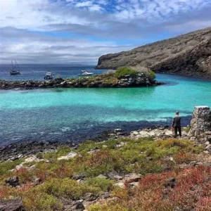 Pinzon_island_4