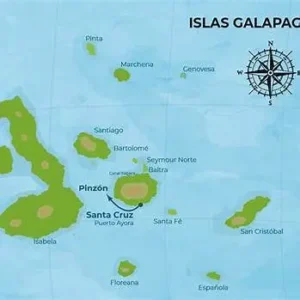 Pinzon_island_6