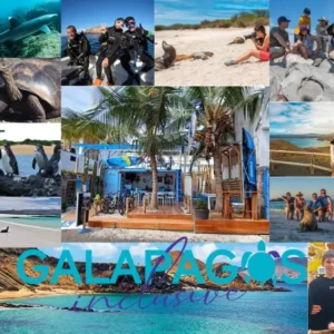 Pinzon_island_7